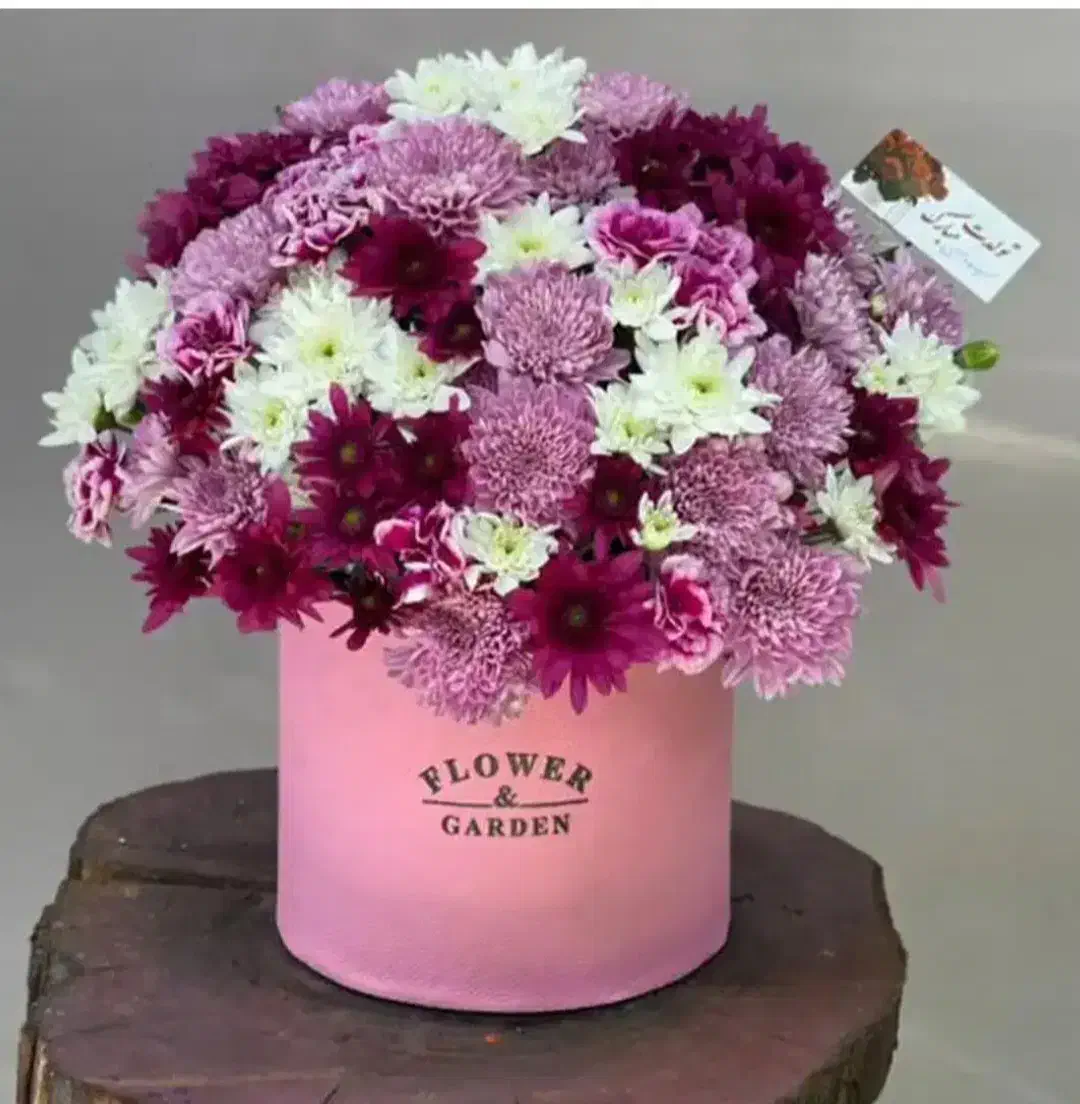 گل رز|گل و گیاه طبیعی|اصفهان, جلالیه|دیوار