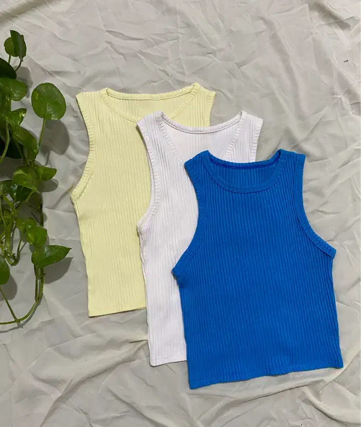 کراپ|لباس|گرگان, |دیوار