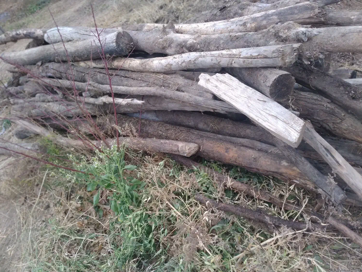 چوب برای زغال یا نئوپان|عمدهفروشی|خلخال, |دیوار