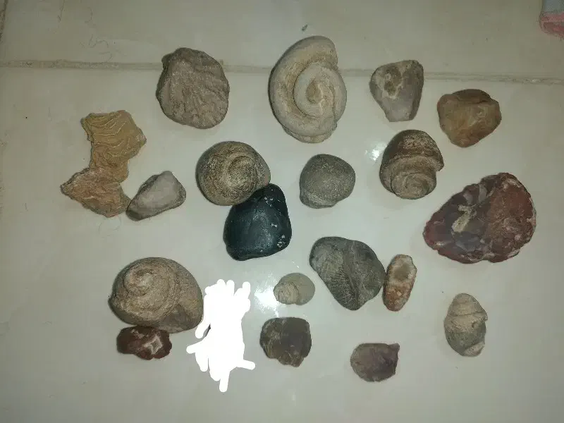 خرید و فروش انواع سنگ و شهابسنگ وفسیل قیمتی و عقیق|جواهرات|قم, پردیسان|دیوار