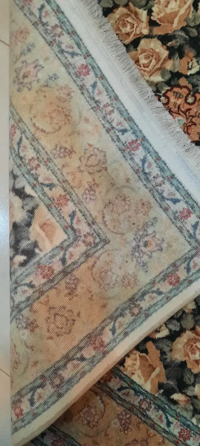 قالیچه نو ۱در ۱ونیم|فرش|رشت, کوی مهر|دیوار