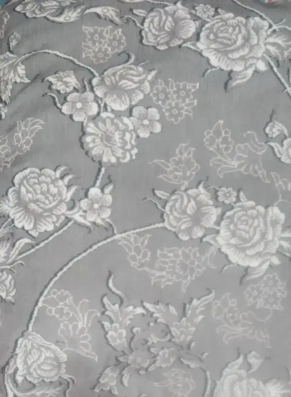 روفرشی|روفرشی|قزوین, |دیوار