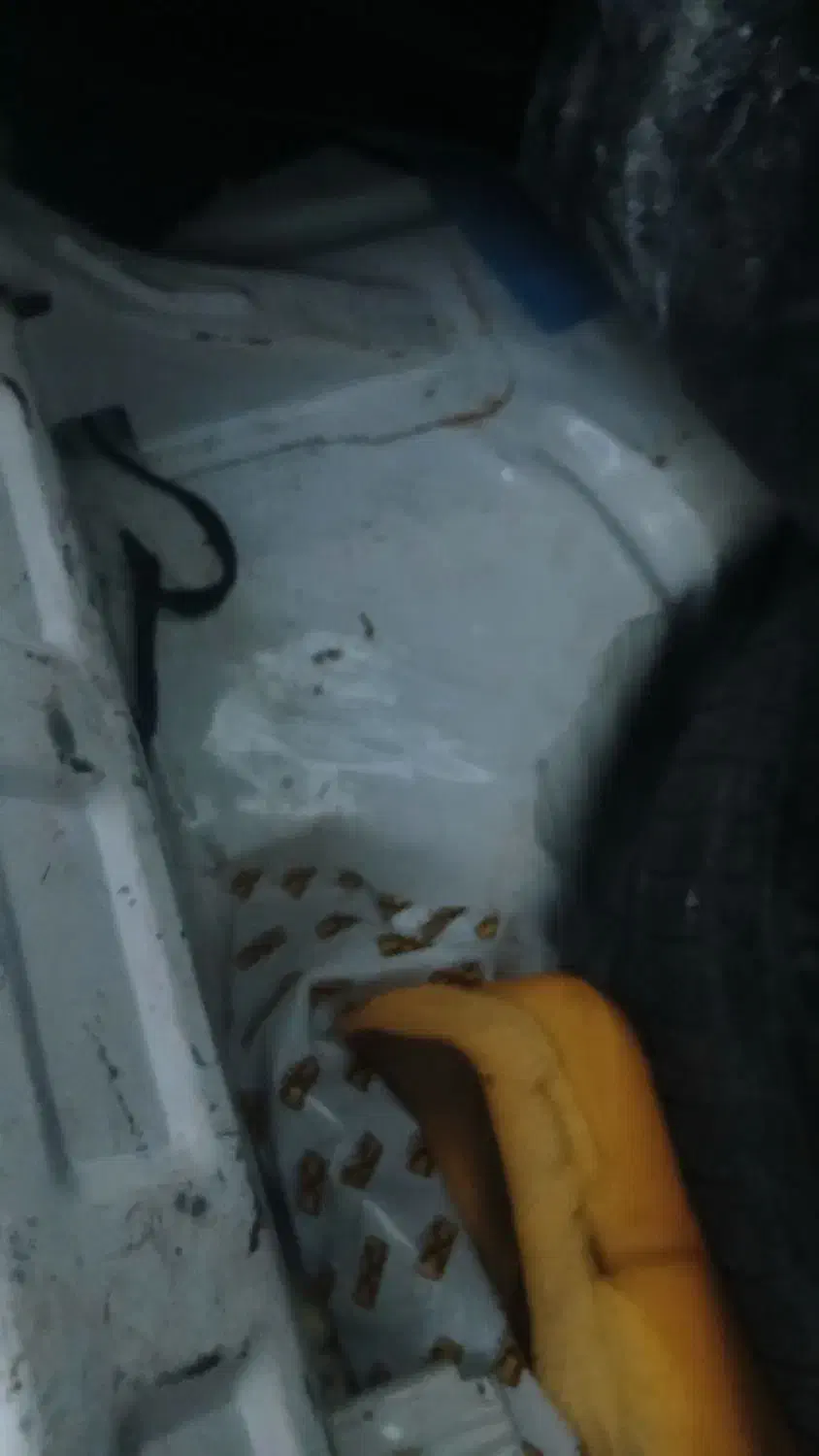 پراید ۱۳۲ بدون رنگ شاسی پلمپ تک برگ سند کارمندی|خودرو سواری و وانت|فولادشهر, C1|دیوار