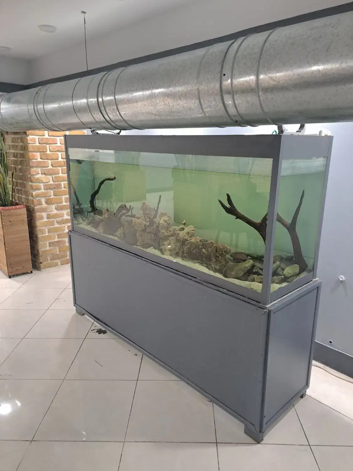 آکواریوم دو متری مناسب کافه رستوران سفره خانه|ماهی|تهران, عباسی|دیوار