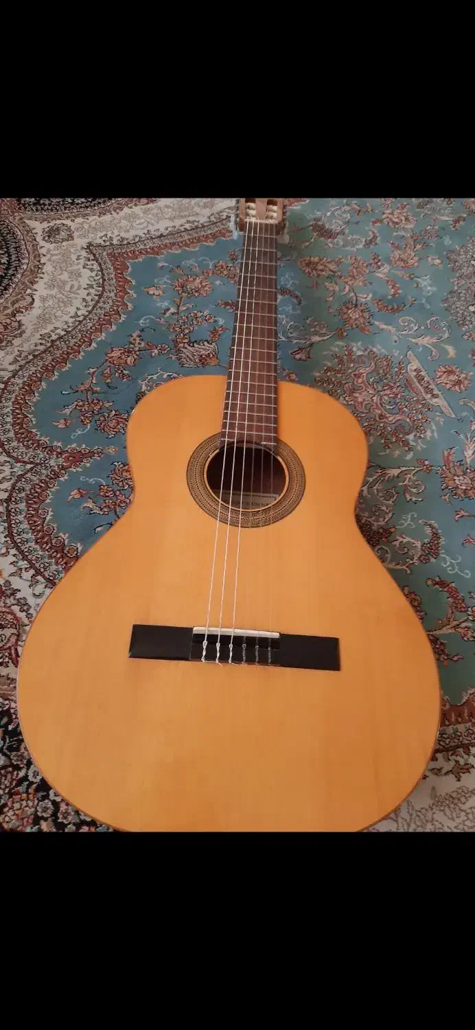 گیتار انتونیو سانچز s20|گیتار، بیس، امپلیفایر|هشتگرد, هشتگرد قدیم|دیوار