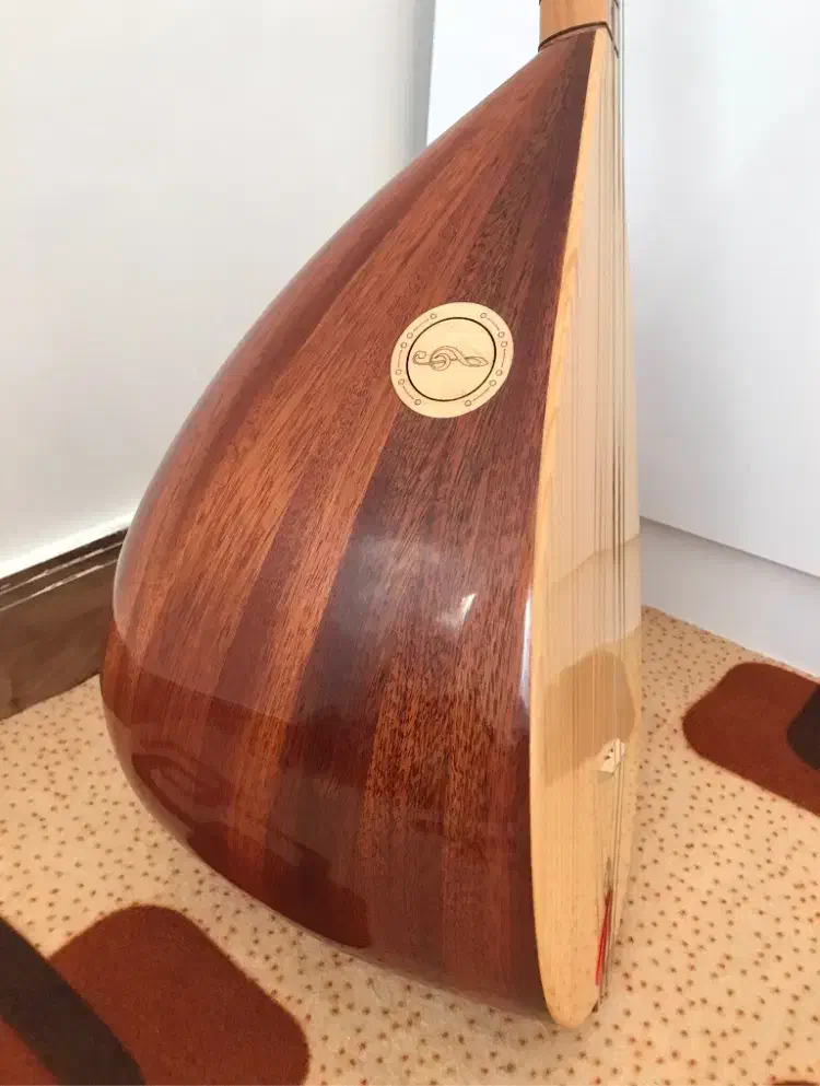 ساز دیوان مارک الیاسی در حد سفر|سازهای سنتی|مهاباد (آذربایجان غربی), |دیوار