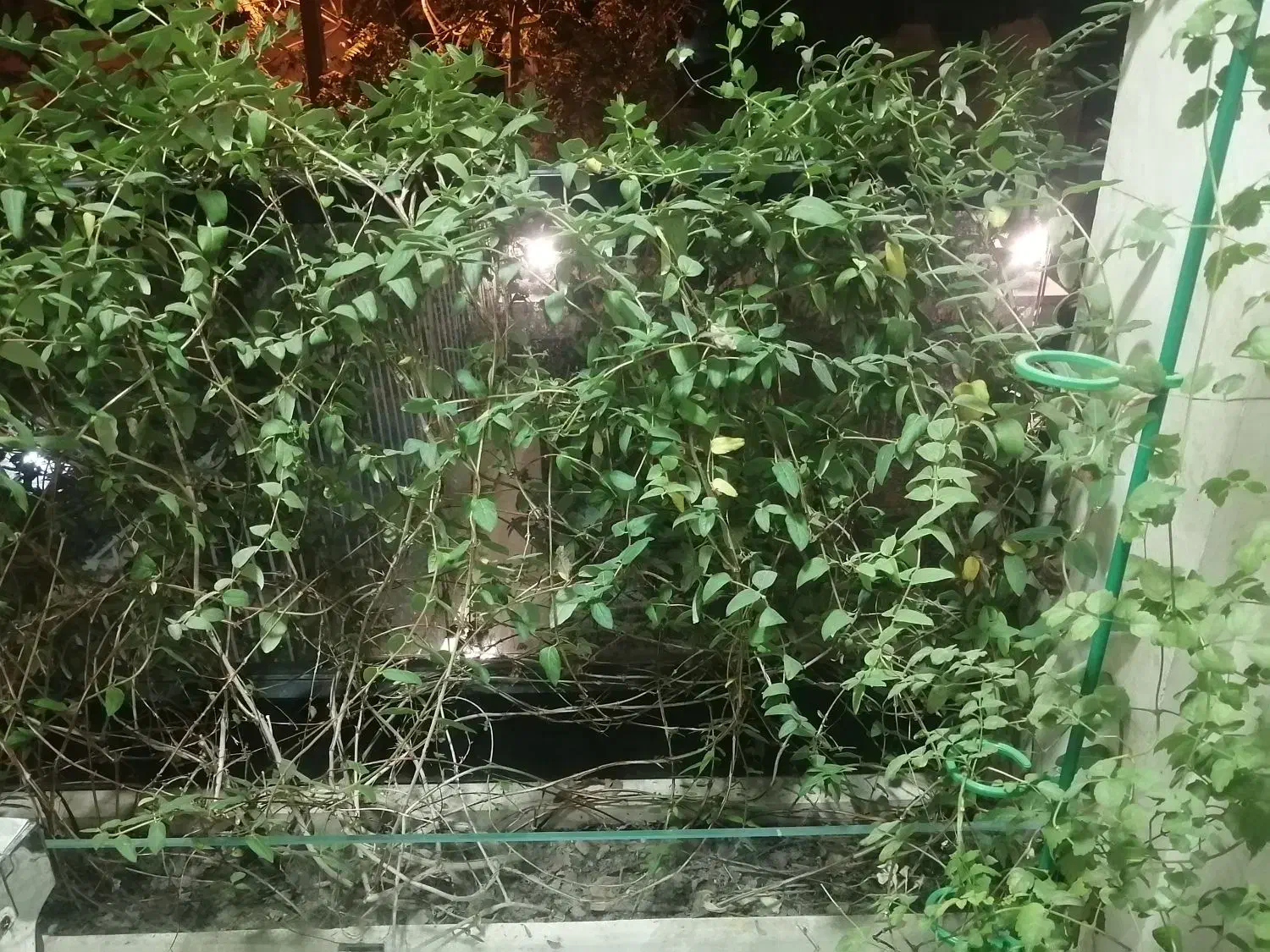 106 متر قلهک / دو خواب / نوساز / رهن کامل