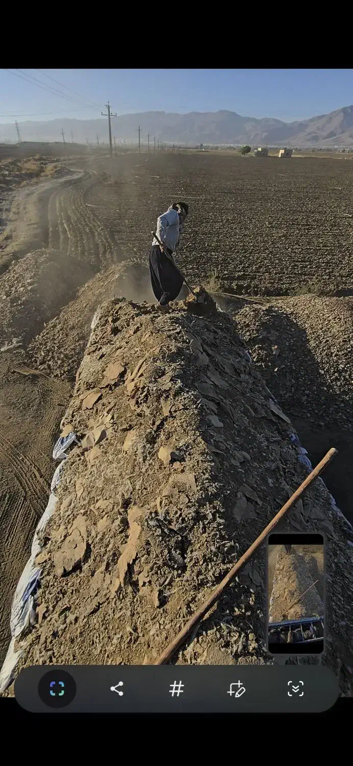 کود مرغ گوشتی مستقیم از سالن مرغداری|خدمات باغبانی و درختکاری|رفسنجان, |دیوار