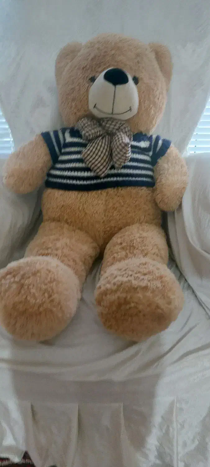خرس بزرگ|اسباببازی|تبریز, |دیوار