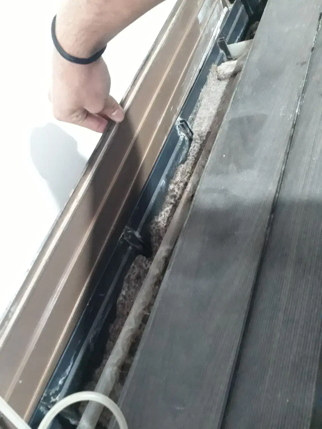 اکواریوم شیشه خم|ماهی|همدان, |دیوار