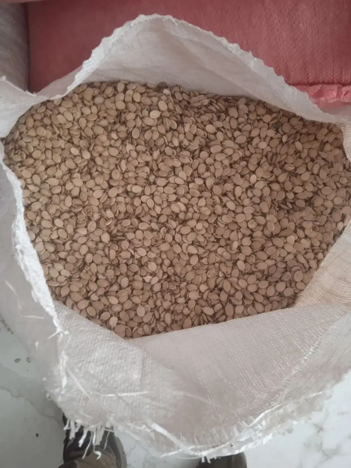 تخمه هندوانه|خوردنی و آشامیدنی|محمدبار, |دیوار