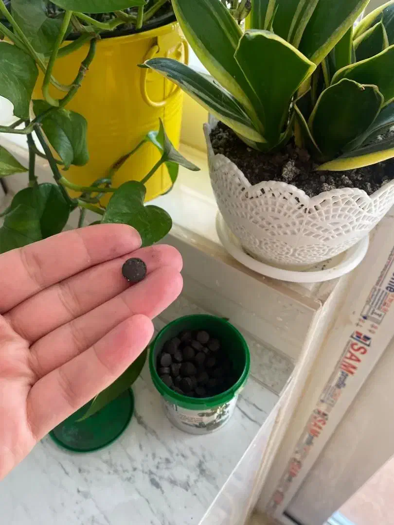 قرص کود|گل و گیاه طبیعی|خرم‌آباد, |دیوار