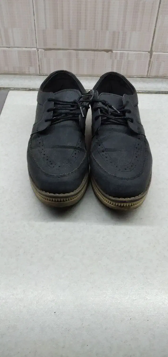 کفش لی|کیف، کفش، کمربند|ارم, |دیوار