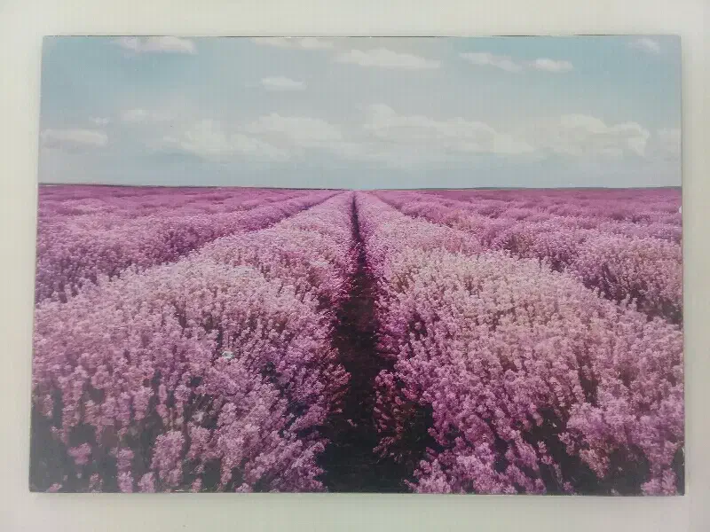 تابلو فنگ شویی اسطوخودوس|تابلو، نقاشی، عکس|اراک, |دیوار