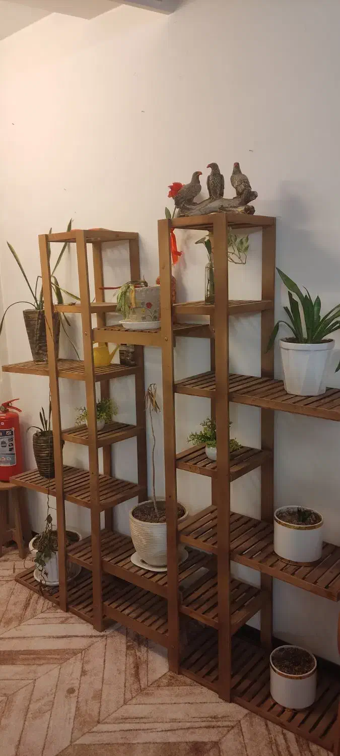 استند گل چوبی|گل و گیاه طبیعی|قرچک, زیبا شهر|دیوار