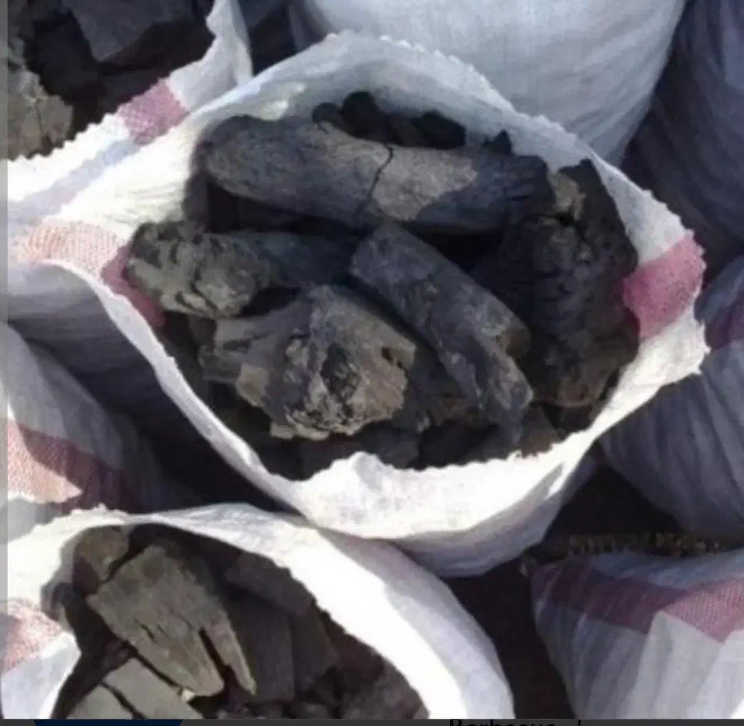 ذغال کبابی|عمده‌فروشی|ساری, |دیوار