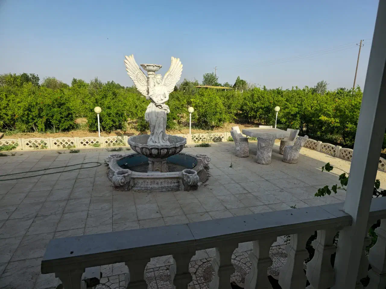 باغ انواع میوه|فروش زمین و ملک کلنگی|قم, دانش|دیوار