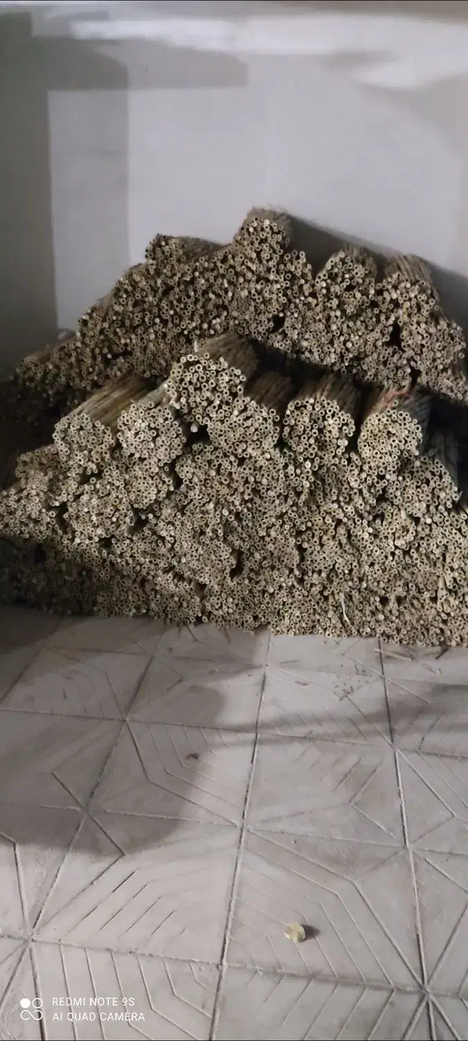 نی برای قلیان|عمدهفروشی|کازرون, |دیوار