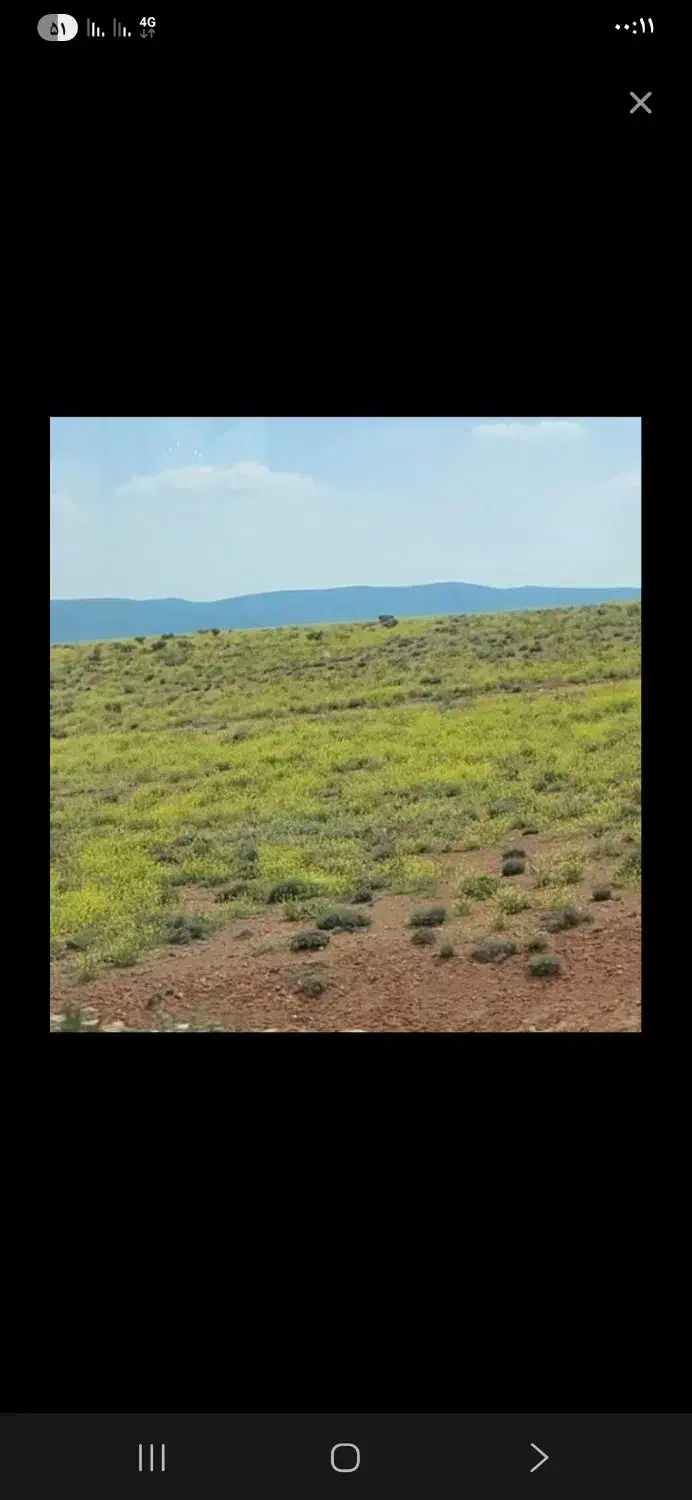 زمین فاز جدید مسکن ملی کشکوئیه|فروش زمین و ملک کلنگی|کشکوئیه, |دیوار