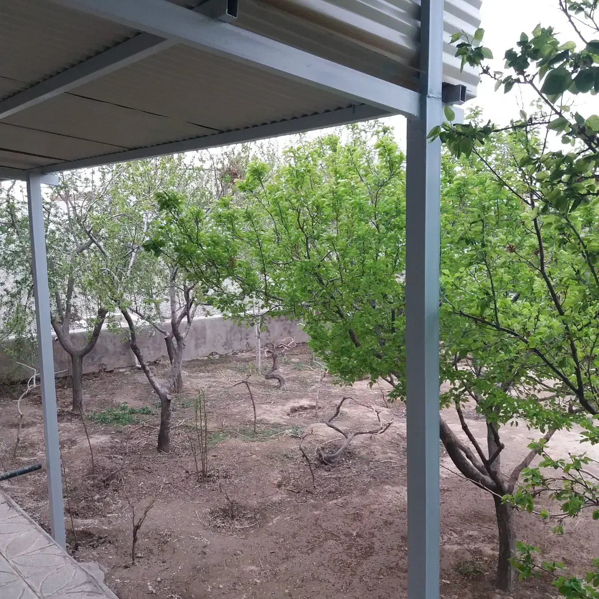 فروش املاک|فروش خانه و ویلا|شال, |دیوار