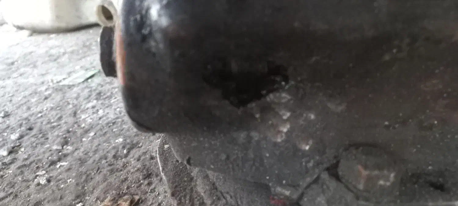 جعبه فرمون خاور|قطعات یدکی و لوازم جانبی|رشت, کوی جام جم|دیوار