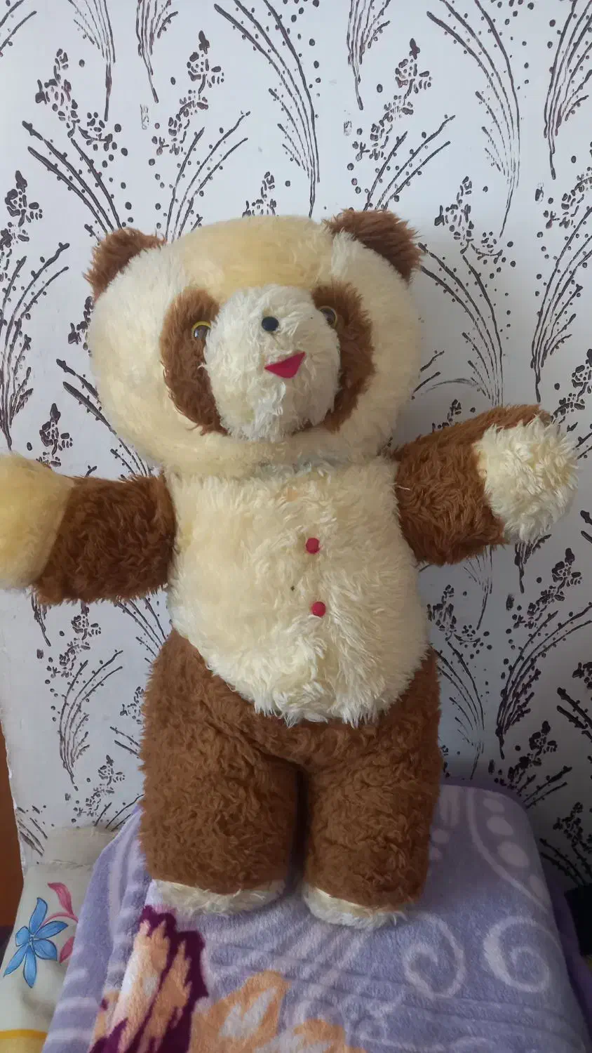 ۲۰عروسک|اسباب‌‌بازی|شاهرود, |دیوار