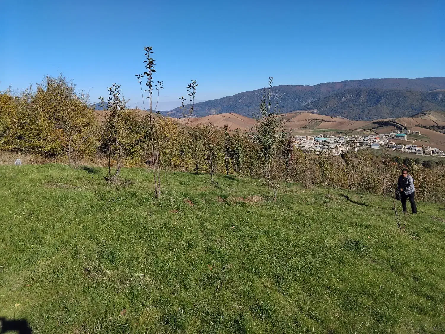 فروش باغ ۵۰۰۰ متری بهمراه زمین زعفران|فروش زمین و ملک کلنگی|دوزین, |دیوار