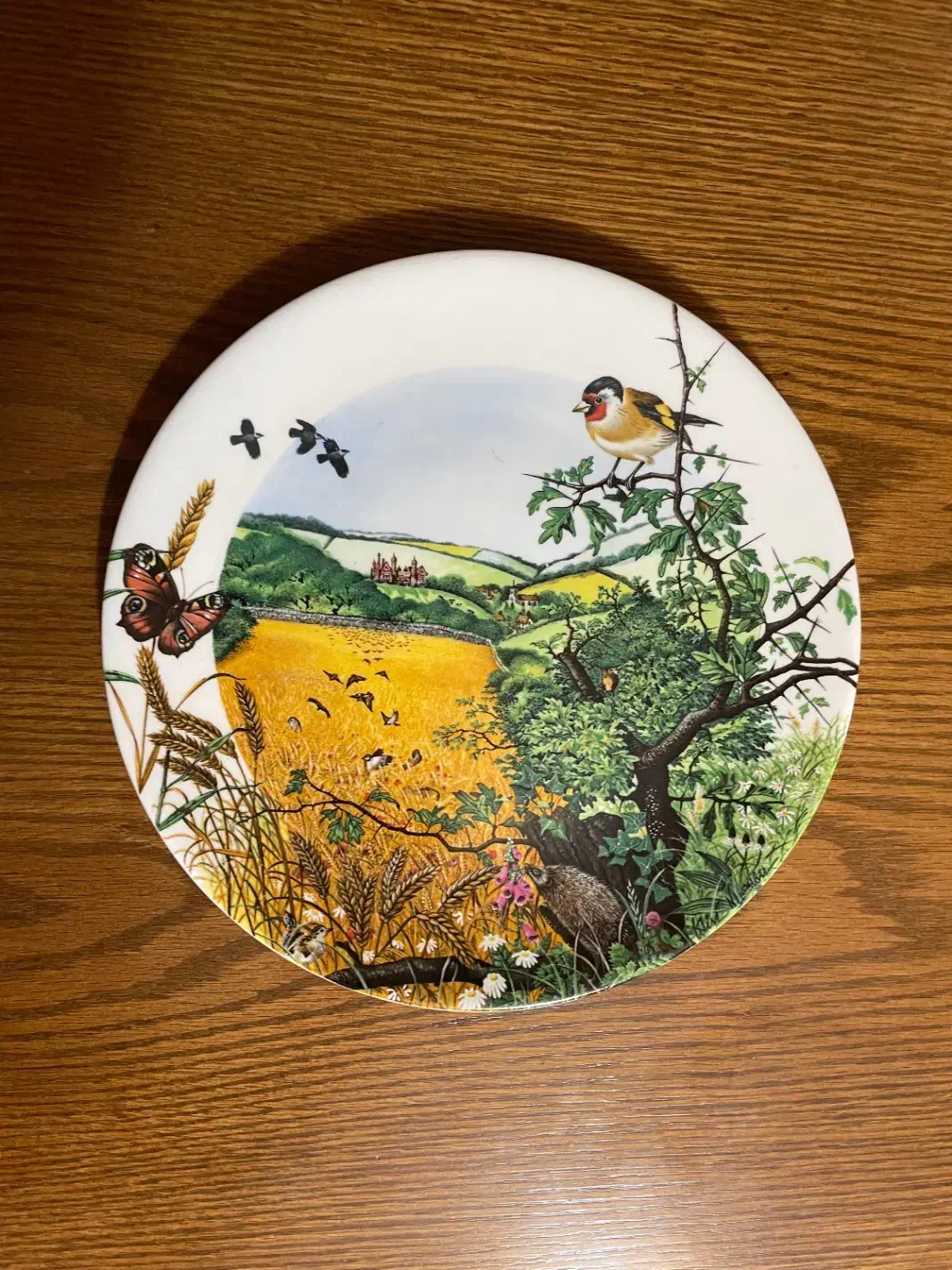 دیوارکوب های انتیک انگلیسی|کلکسیون اشیاء عتیقه|تهران, اکباتان|دیوار