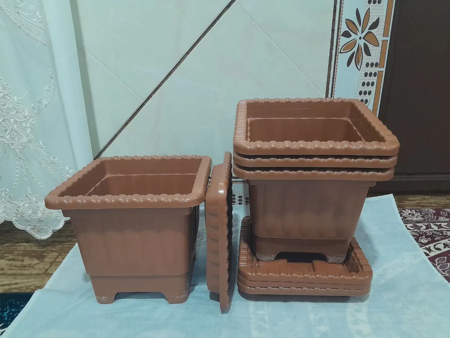 گلدان در حد نو|گل و گیاه طبیعی|هشترود, |دیوار