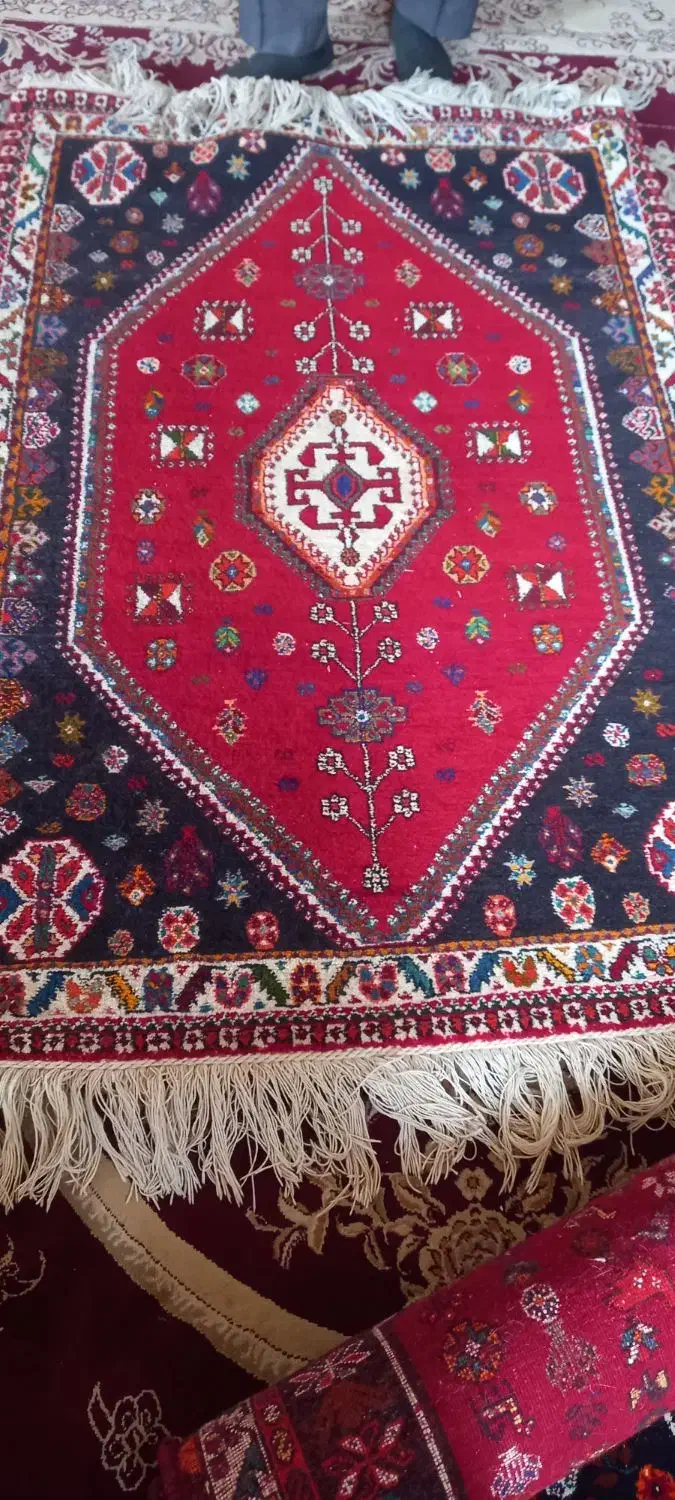 قالی دست باف|فرش|جهرم, |دیوار