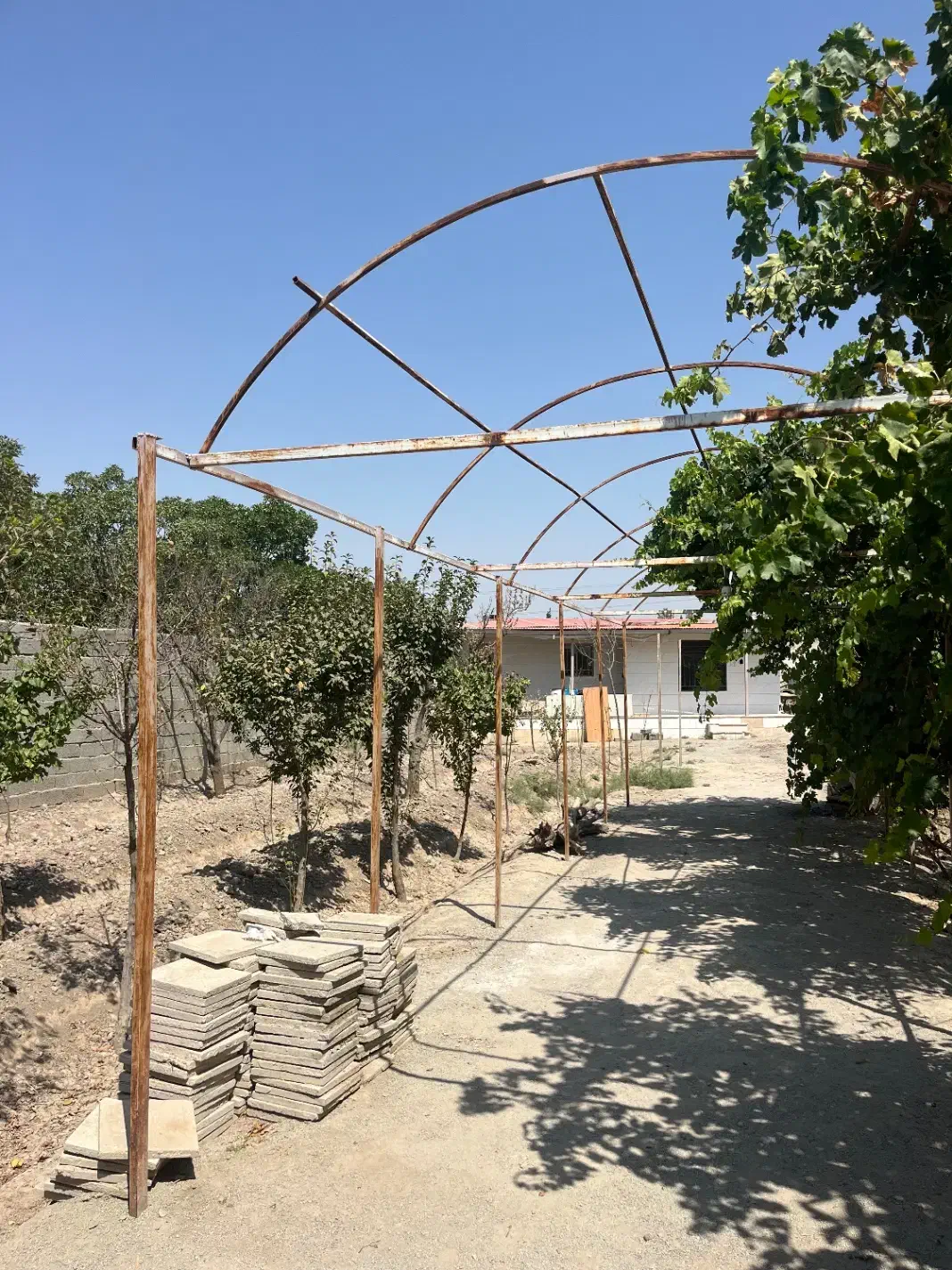 باغچه|فروش زمین و ملک کلنگی|ماهدشت, |دیوار