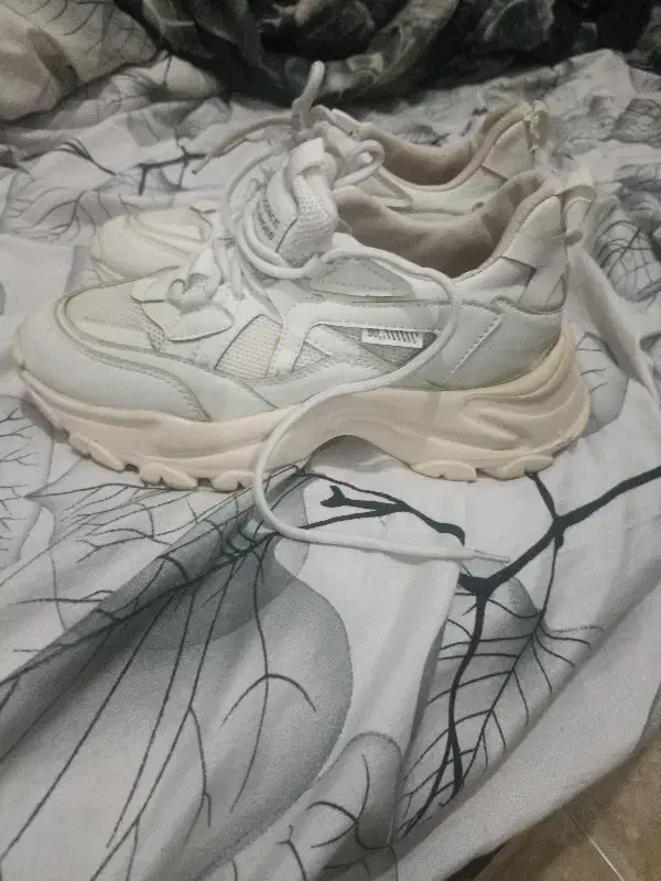 کتونی زنانه سایز ۴۰|کیف، کفش، کمربند|رشت, منظریه|دیوار