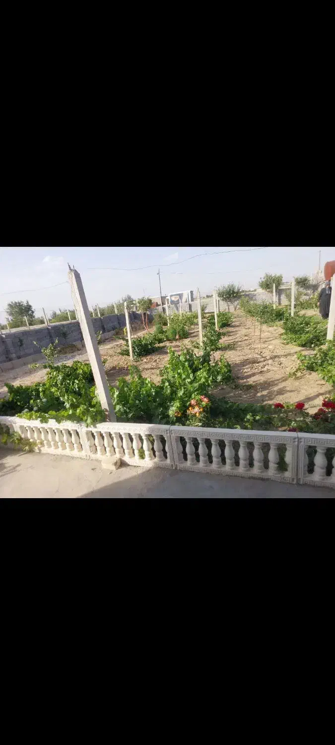 باغ ۸۰۰ متری|فروش خانه و ویلا|کبودرآهنگ, |دیوار