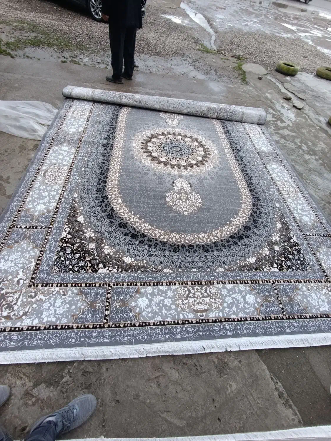 فرش 12 متری ماشینی 440 شانه|فرش|آزادشهر, |دیوار