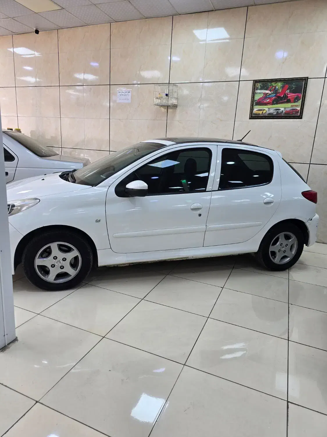 ۲۰۷ پانوراما مدل ۱۴۰۰|خودرو سواری و وانت|قزوین, |دیوار