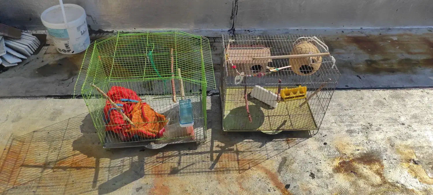 دو عدد قفس پرنده همراه با لونه و دون خوری و آبخوری|لوازم جانبی حیوانات|جم, |دیوار