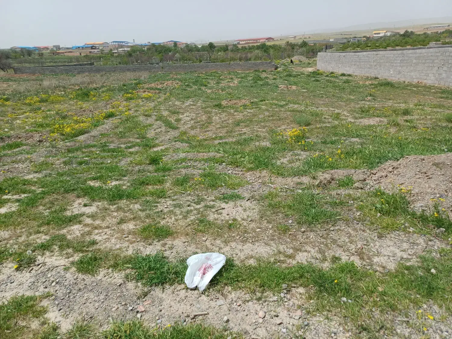 زمین ویلایی سیس|فروش زمین و ملک کلنگی|شبستر, |دیوار