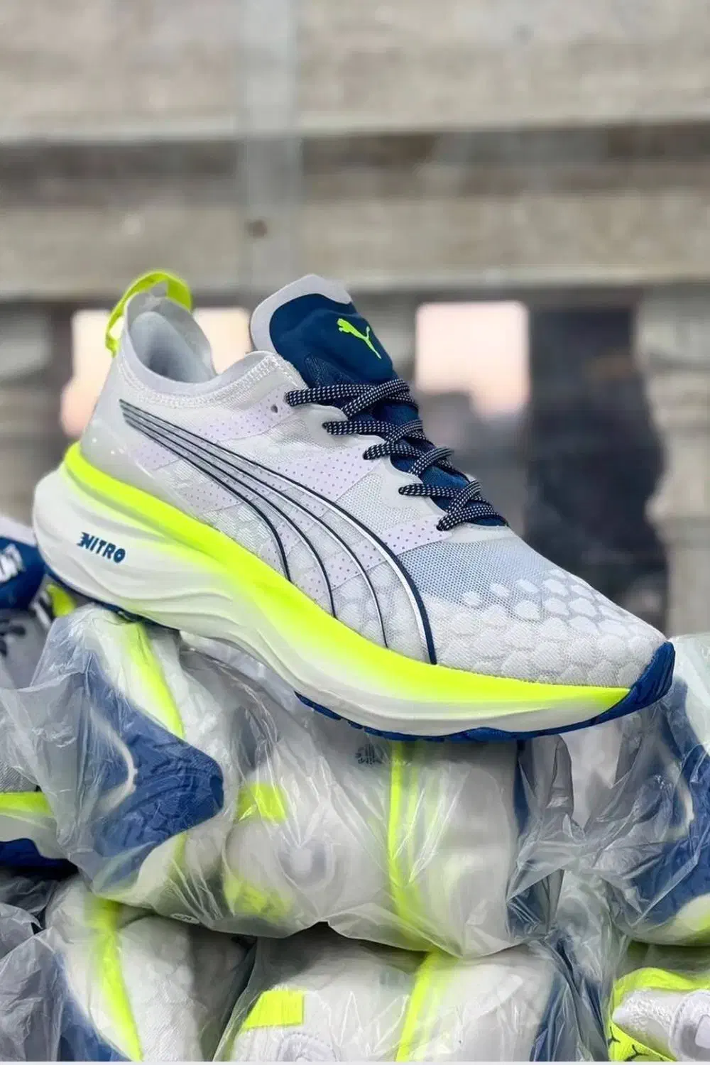 کتونی|کیف، کفش، کمربند|اهواز, زیتون کارگری|دیوار