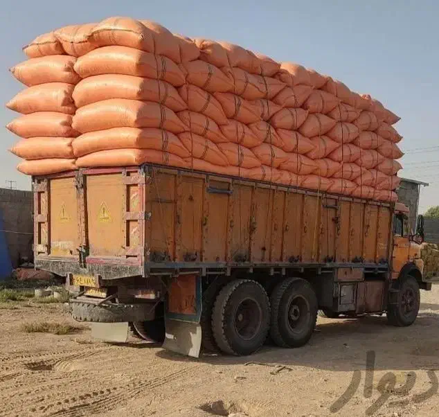 خریدار کاه گندم شیلیف شده هستم|خدمات باغبانی و درختکاری|اصفهان, چرخاب|دیوار