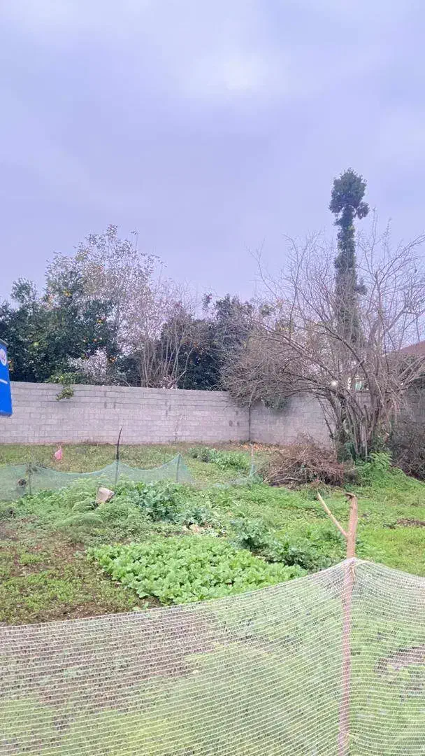 ۳۰۰ متر زمین مسکونی دو بر|فروش زمین و ملک کلنگی|گوراب زرمیخ, |دیوار