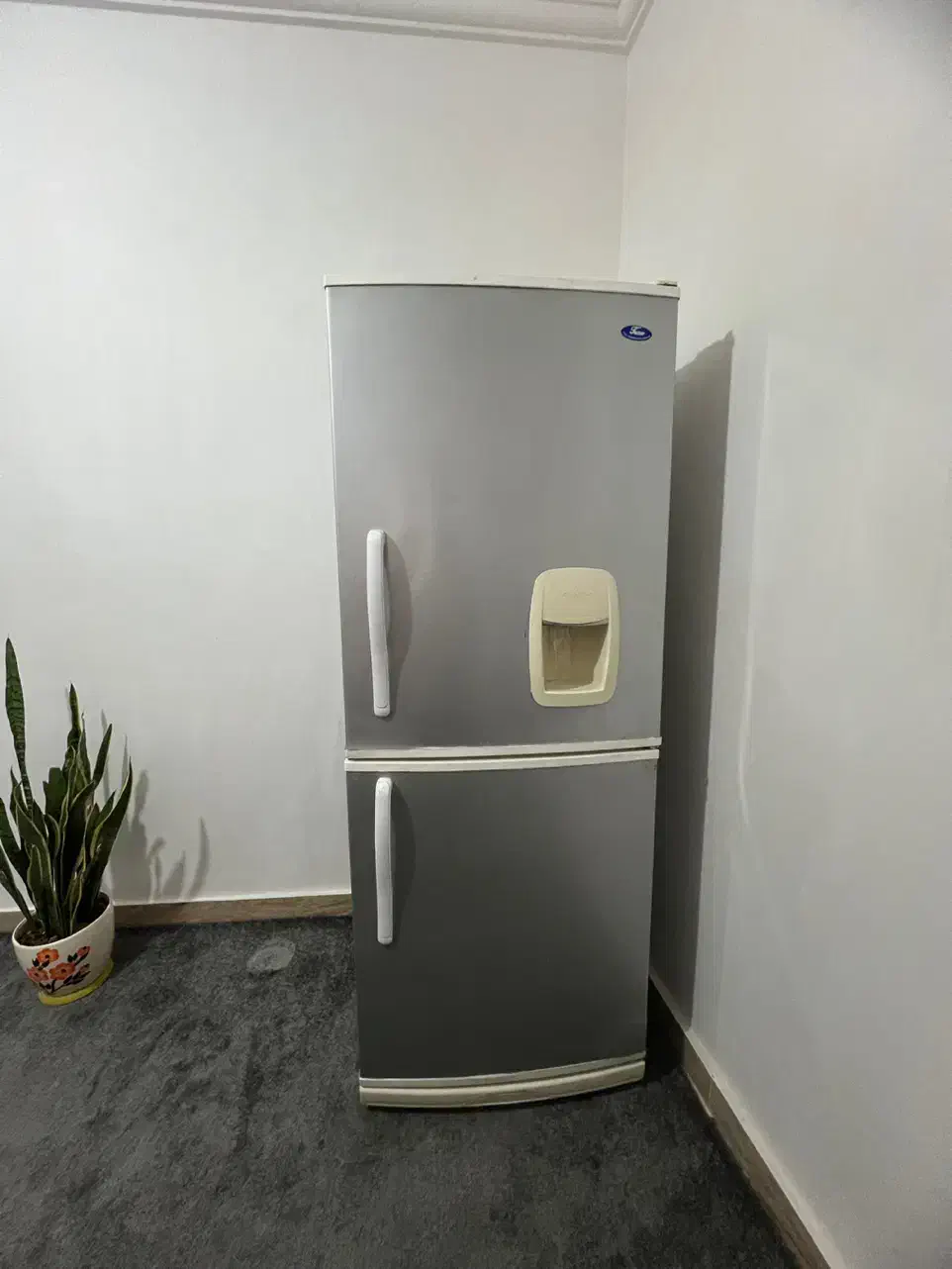 یخچال فریزر|یخچال و فریزر|رشت, سلیمانداراب|دیوار