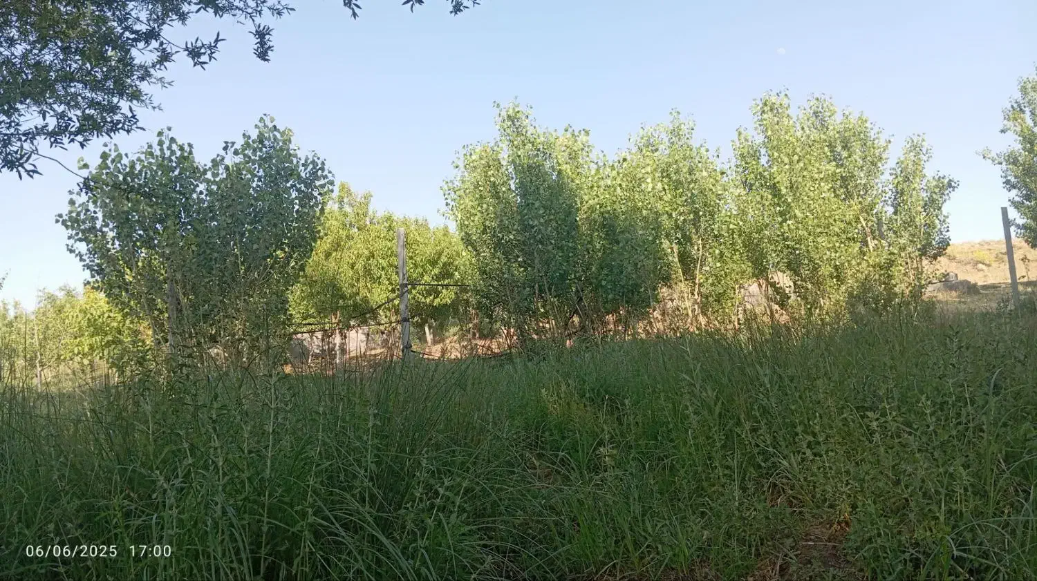 باغ 15ساله سیمین زاغه|فروش زمین و ملک کلنگی|بهار, |دیوار