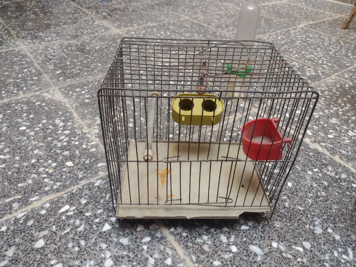 وسایل پرنده|لوازم جانبی حیوانات|نسیم‌شهر, |دیوار