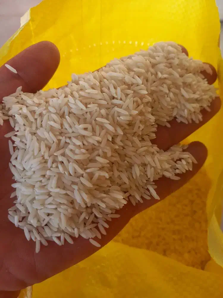 برنج طارم هاشمی سورت شده|عمده‌فروشی|لاهیجان, طالقانی|دیوار
