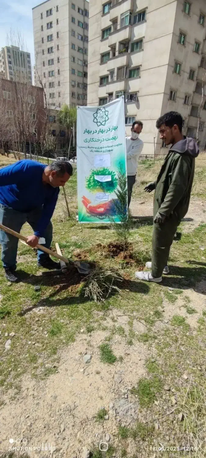 باغ بانی و تامین نگهداری|خدمات باغبانی و درختکاری|تهران, سبلان (لشگر)|دیوار