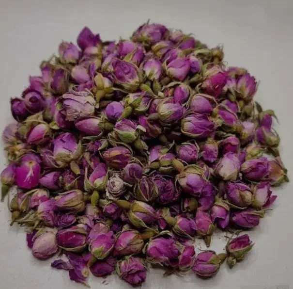 گل محمدی   غنچه خوش بو وعطری|گل و گیاه طبیعی|سقز, |دیوار