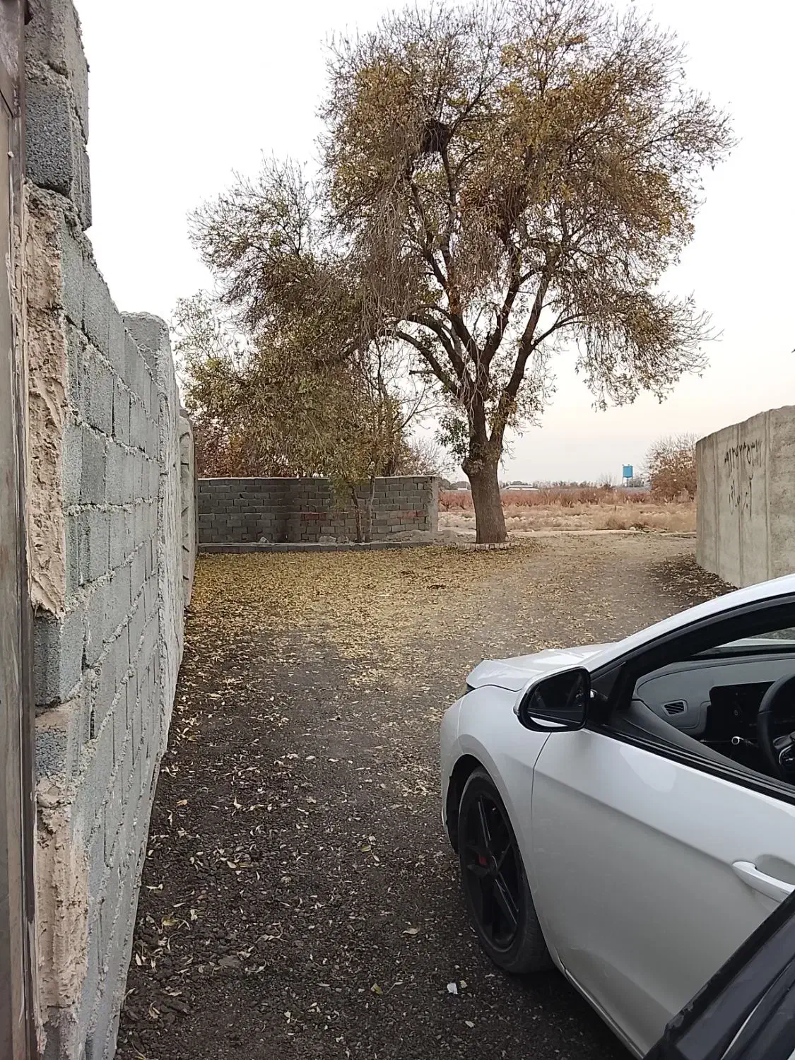 باغ چهار دیواری/ چسب امکانات/ ریشه دار|فروش زمین و ملک کلنگی|شهریار, اصیل آباد|دیوار