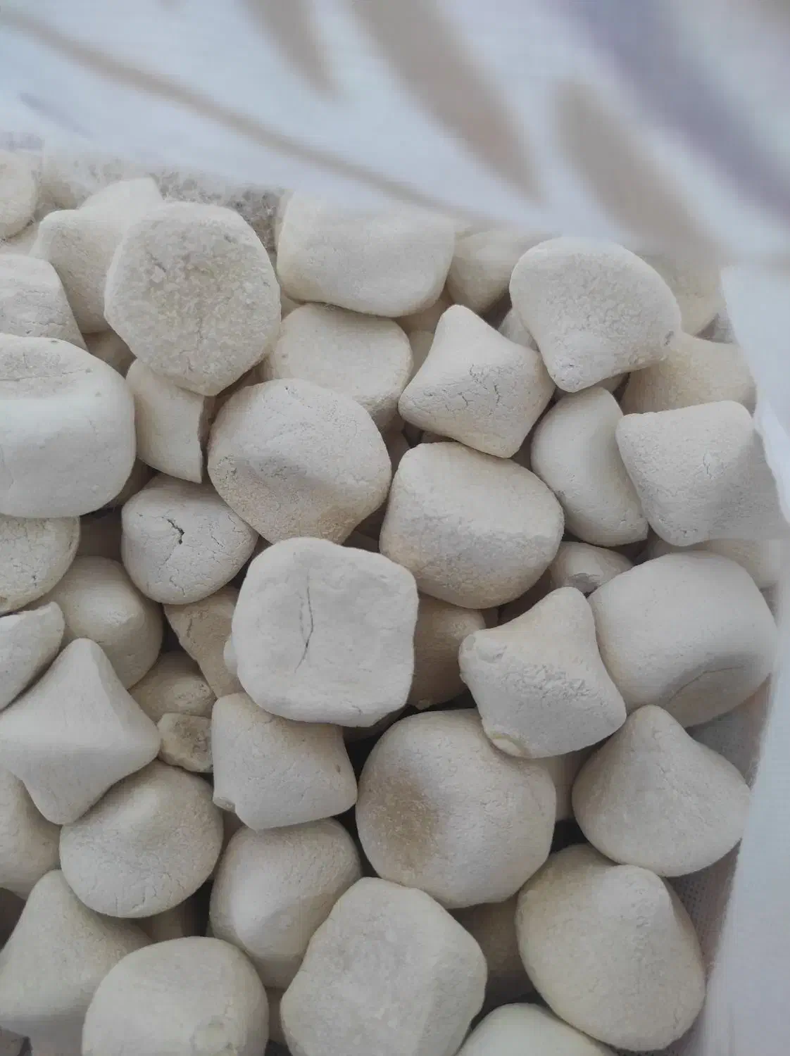 کشک بز|خوردنی و آشامیدنی|اهواز, شریعتی جنوبی|دیوار