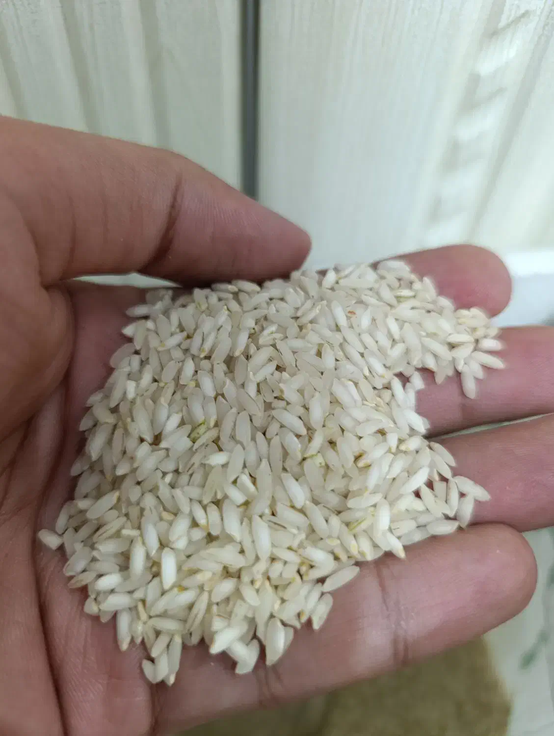 برنج عنبر بو ( عزیزان)|خوردنی و آشامیدنی|نسیم‌شهر, |دیوار