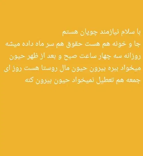 گله|حیوانات مزرعه|دلوار, |دیوار